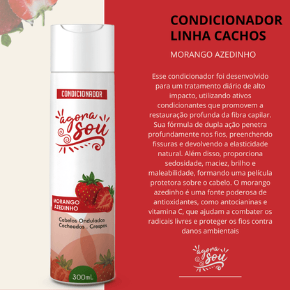 CONDICIONADOR CACHOS 300ml - Morando Azedinho